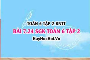 Bài 7.24 SGK Toán 6 tập 2 Kết nối tri thức